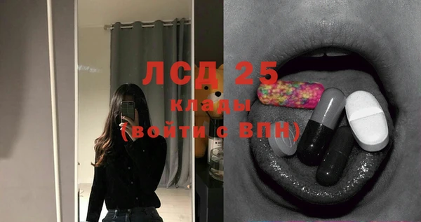 дживик Богородицк