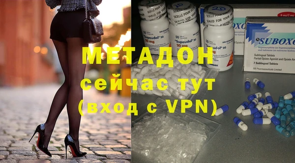твердый Тайга