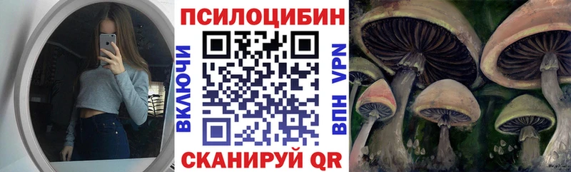 kraken как зайти  Вуктыл  Галлюциногенные грибы мицелий  наркота 